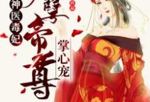 叶云笙御君辞叶香玉的故事在哪本书里?免费阅读神医毒妃:妖孽帝尊掌心宠-乐读文学