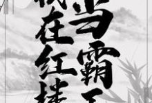 我在红楼当霸王小说的最新章节在哪里更新?免费追踪阅读-乐读文学