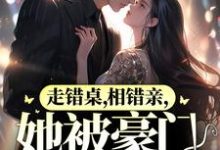 走错桌,相错亲,她被豪门强宠了!免费阅读,走错桌,相错亲,她被豪门强宠了!秦苒陆陞-乐读文学