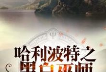 哈利波特之黑白巫师这本小说在哪里可以看?哪里有免费试读章节?-乐读文学