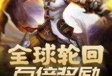 全球轮回:百倍奖励无限复制章节免费在线阅读,齐天铁锤完结版-乐读文学