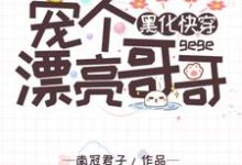 小说《黑化快穿:宠个漂亮哥哥》在线章节阅读-乐读文学