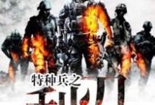 特种兵之利刃小说阅读,特种兵之利刃完结版-乐读文学