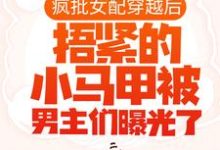 疯批女配穿越后,捂紧的小马甲被男主们曝光了小说阅读,疯批女配穿越后,捂紧的小马甲被男主们曝光了完结版-乐读文学