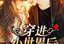 主角许安然秦安小说完结版在线阅读,穿进小世界后我佛了免费看-乐读文学