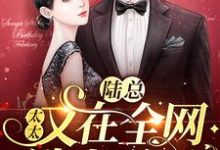 陆辞简溪的完整故事在哪里?读陆总,太太又在全网选老公了小说-乐读文学