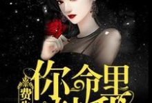 楚千荨费南城为主角的小说好看吗?求费先生,你命里缺我免费试读-乐读文学