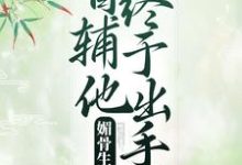 媚骨生香:首辅他终于出手了小说,媚骨生香:首辅他终于出手了章节在线阅读-乐读文学