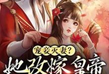 完结版《宠妾灭妻?她改嫁皇帝生皇子》章节目录在线阅读-乐读文学