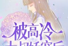 宋问盏商则寒的完整故事在哪里?读被高冷大叔娇宠后,我真香了小说-乐读文学