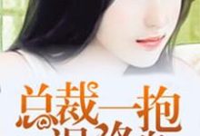 总裁一抱误终身小说最新更新在哪里?免费在线看-乐读文学