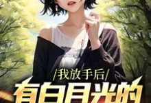 江辰小说叫什么(我放手后,有白月光的女友后悔了免费阅读)-乐读文学