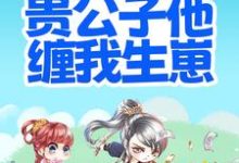 洛宁婉沈卓珩为主角的小说搬离农户,贵公子他缠我生崽在线阅读-乐读文学