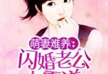 完结版《闪婚老公太霸道》章节目录在线阅读-乐读文学