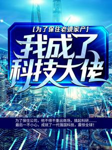 完结版《为了保住老婆家产，我成了科技大佬》章节阅读