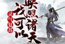 叶枫为主角的小说好看吗?求灵气复苏,我可以映照诸天免费试读-乐读文学