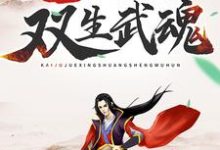 玄幻:开局觉醒双生武魂小说,玄幻:开局觉醒双生武魂在线阅读-乐读文学