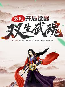 玄幻：开局觉醒双生武魂小说，玄幻：开局觉醒双生武魂在线阅读