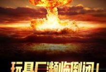 《玩具厂濒临倒闭!换军工芯起死回生》小说章节列表免费试读,陆枫小说在线阅读-乐读文学