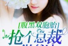腹黑双胞胎:抢个总裁做爹地免费阅读,腹黑双胞胎:抢个总裁做爹地 程海安陆一琛-乐读文学