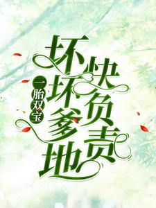 一胎双宝：坏坏爹地快负责小说最新章节在哪里可以读到？