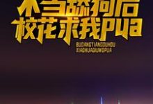 哪里能找到不当舔狗后,校花求我pua小说的全部章节?-乐读文学