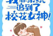 免费看我靠系统追到了校花女神!小说的网站有哪些?-乐读文学