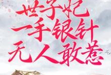被逼替嫁:世子妃一手银针无人敢惹周卿辞盛九铮小说免费阅读-乐读文学