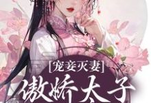 完结版《宠妾灭妻:傲娇太子放肆宠》章节阅读-乐读文学