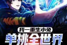 主人公叫黄天的小说哪里免费看-乐读文学