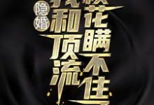 免费阅读叶天苏月灵为主角的小说,隐婚:我和顶流校花瞒不住了在线看-乐读文学