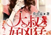 主角叫乔小麦许厉璟的小说在哪阅读-乐读文学