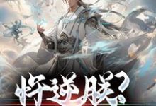 小说《忤逆朕?你们会后悔的!》在线章节阅读-乐读文学