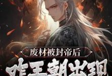 《废材被封帝后,咋王朝出现盛世了?》小说大结局免费试读 萧宁卫清挽小说-乐读文学