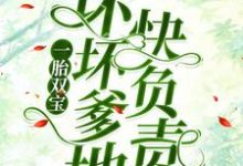 南宫丞沈茉染是哪本书的主角?寻找一胎双宝:坏坏爹地快负责免费阅读-乐读文学