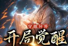 穿越异界,开局觉醒地阶灵脉免费阅读,穿越异界,开局觉醒地阶灵脉叶无双-乐读文学