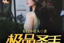 寻找极品圣手在都市小说的最新更新章节-乐读文学