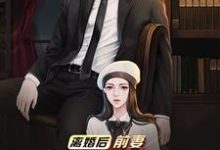 离婚后,前妻跪求我复婚小说完结版章节免费阅读-乐读文学
