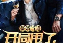 赘婿当道:开局甩了女神娇妻这本小说在哪里可以看?哪里有免费试读章节?-乐读文学