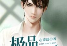 极品小仙医小说全文阅读需要付费吗?寻找免费资源-乐读文学