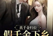 真千金归位,假千金下乡暴富了小说,真千金归位,假千金下乡暴富了沈雪宁秦子洲-乐读文学