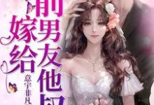 嫁给前男友他叔小说无弹窗阅读的网站推荐-乐读文学
