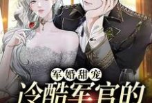主角叫姜月陆煜小说军婚甜宠:冷酷军官的全能娇妻章节免费阅读-乐读文学