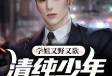 萧辰林岚为主角的小说好看吗?免费读学姐又野又欲,清纯少年他红了脸-乐读文学