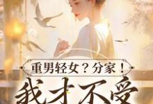 《重男轻女?分家! 我才不受这窝囊气》小说大结局免费试读 水清范进小说-乐读文学