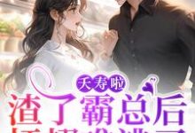 夭寿啦!渣了霸总后插翅难逃了免费阅读,夭寿啦!渣了霸总后插翅难逃了章节在线阅读-乐读文学