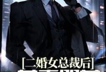 二婚女总裁后，前妻哭着求复合小说的无弹窗阅读体验，寻找免费阅读网站-乐读文学