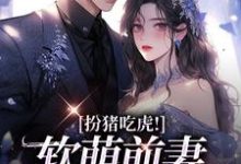 主角叫陆玥傅宸小说扮猪吃虎!软萌前妻拿捏他章节免费阅读-乐读文学
