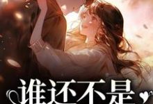 丁梨程北归是哪本书的主角?寻找谁还不是开飞机的了免费阅读-乐读文学