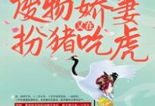 免费在线阅读战王接嫁:废物娇妻又在扮猪吃虎小说的正规网站有哪些?-乐读文学